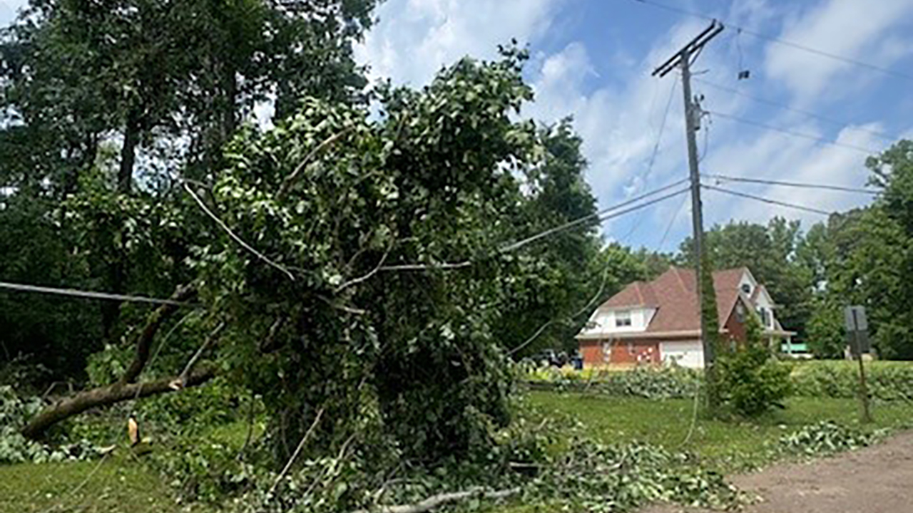 Severe weather brought high winds, heavy rain, lightning and thunderstorm activity to the Entergy Mississippi service territory overnight, causing extensive damage, including these downed trees and power lines in Hernando. Severe weather brought high winds, heavy rain, lightning and thunderstorm activity to the Entergy Mississippi service territory overnight, causing extensive damage, including these downed trees and power lines in Hernando.